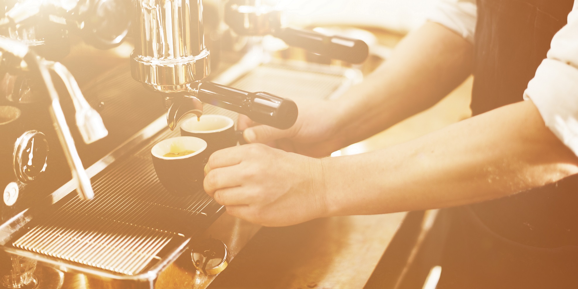 DeLonghi Coffee Machine Repairs Winnipeg